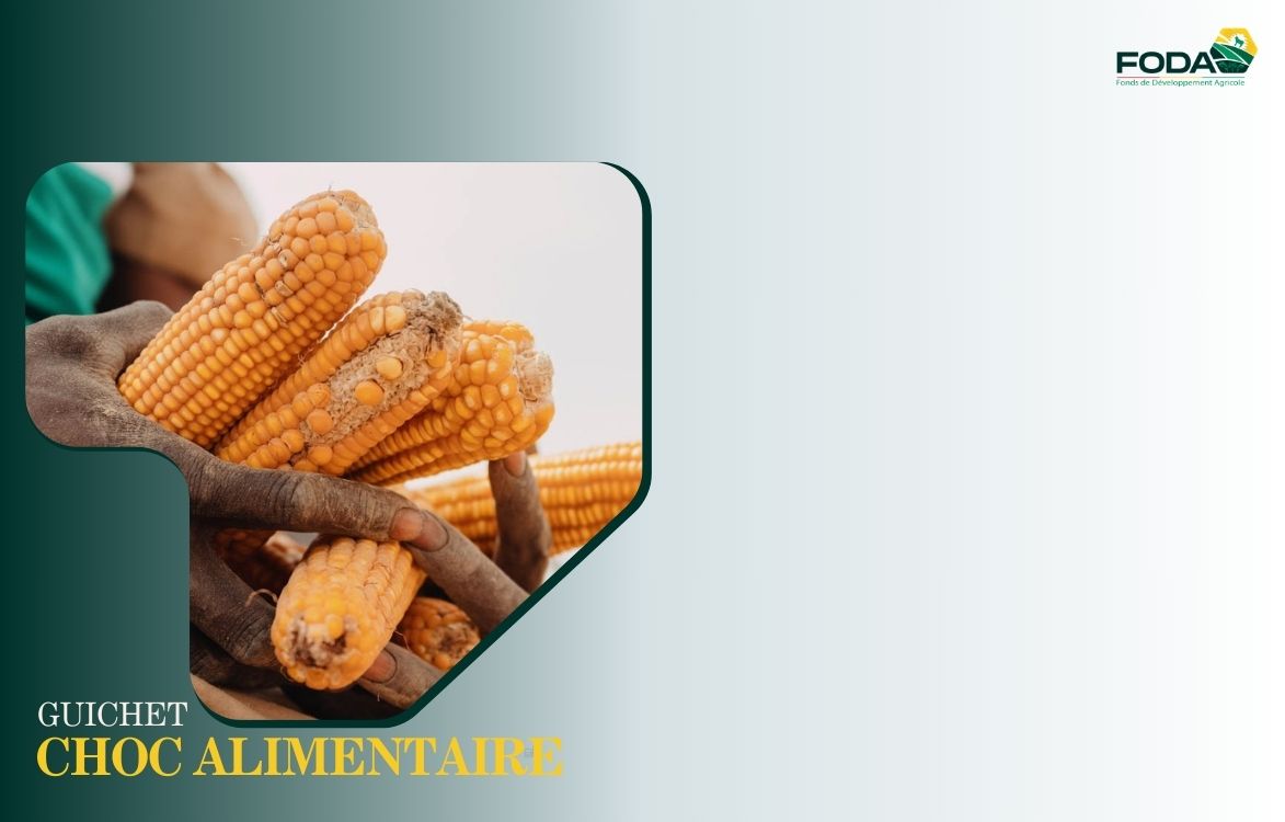 Image Choc alimentaire 