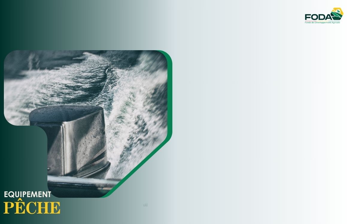 Image Équipement de pêche